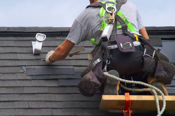 Best Steel Siding Installation  in Archer Lodge, NC