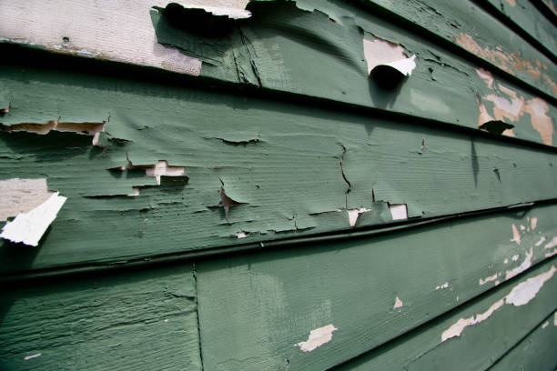Best Siding for Multi-Family Homes  in Archer Lodge, NC